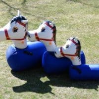 Inflatable Pony Hops