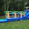 tropical water slide side view