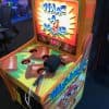 Whac-A-Mole-Rental