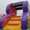 Candyland-Toddler-Inflatable-Bounce-House-Rental-NY