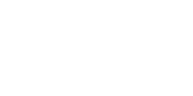 White text on a light gray background reads "the BALDWINS," with "the" in a small, cursive font above the large, bold "BALDWINS.