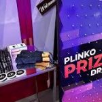 Custom-Plinko-Game-Rental