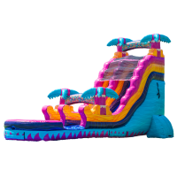 A colorful inflatable water slide designed to look like a tropical dragon, featuring bright blue, pink, orange, and yellow sections, with palm tree decorations and a splash pool at the end.